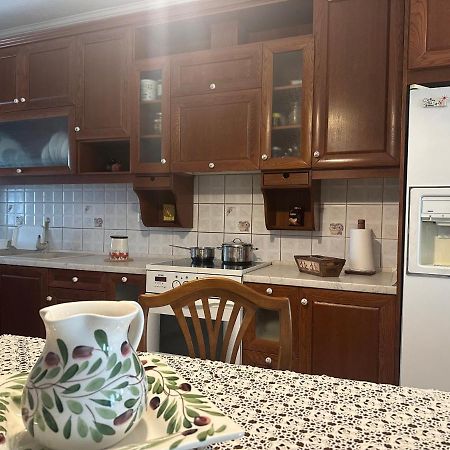 Vintage Central House Kalampáka Dış mekan fotoğraf